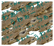 858051358