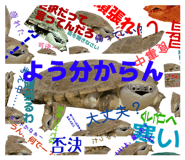 858051360