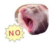 858051364