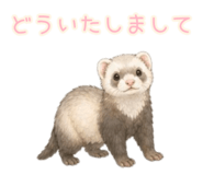 858051402