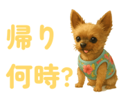 858051438