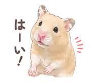 858052169