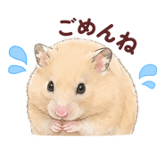 858052180