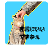858052592