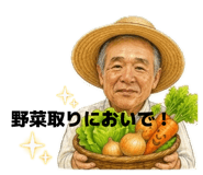 858052744