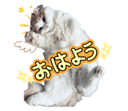 858053180
