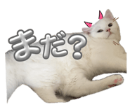 858053181