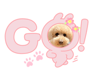 858053581
