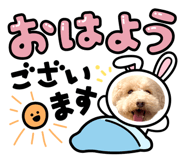 858053582