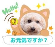858053600