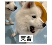 858054476