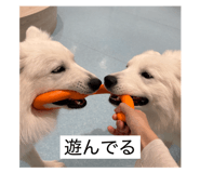 858054482