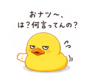 858054893