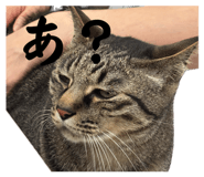 858054929