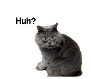858055045