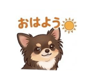 858055671
