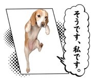 858055747