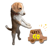 858055750