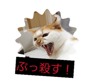 858056301