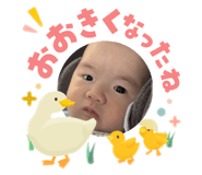 858056508