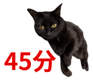 858057963