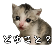 858057969