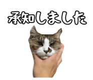 858057977