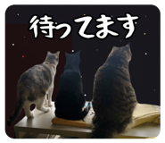 858057990