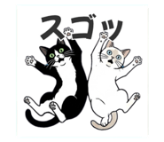 858058044