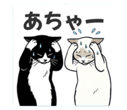 858058045