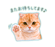 858058729