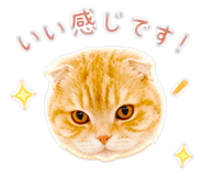 858058734