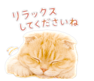 858058736