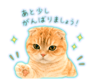 858058740