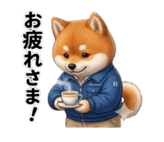 858059620