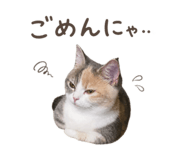 858059778