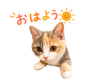 858059779