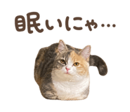 858059782