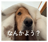 858060215
