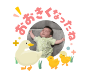 858060629