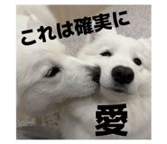 858060745