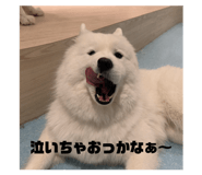 858060750