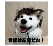 858060757