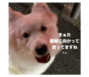 858060760
