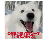 858060767