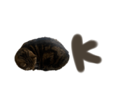 858060945
