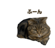 858060947