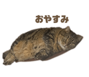 858060956