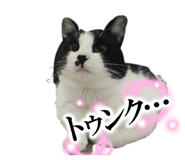 858061999