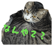858062000